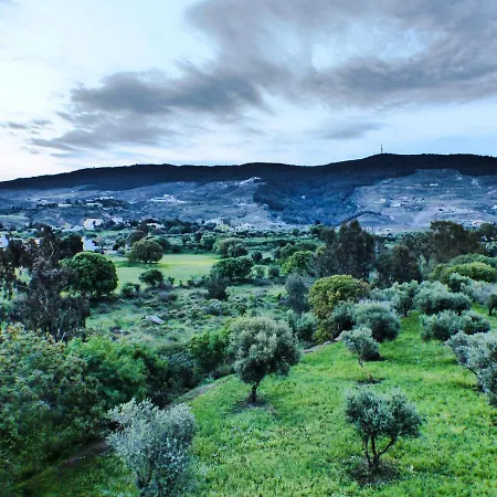 Nikitas 1st Floor * Kos-Stadt