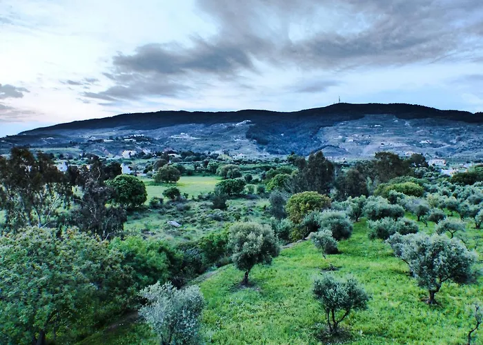 Nikitas 1st Floor * Kos-Stadt